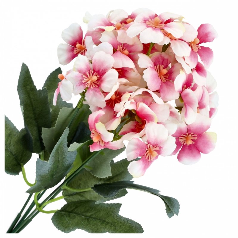 Bukiet Pelargonia Róż/Krem 32cm KR2232 [50szt]