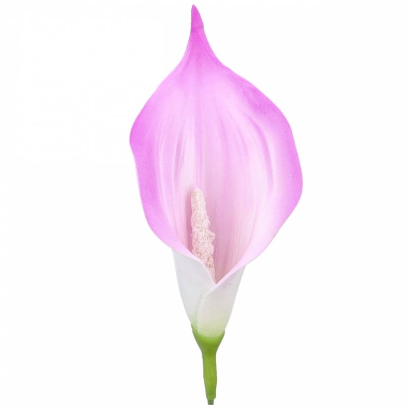 Główki Calla 6szt Amarant KR1941A [50opak]