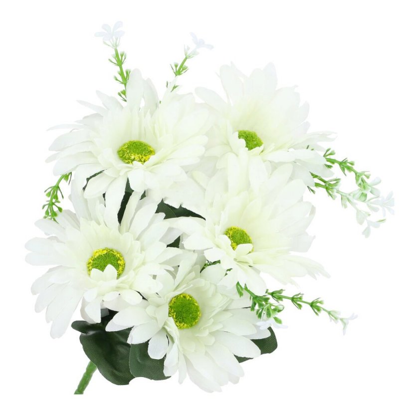 Gerbera Bukiet Kwiatów Ecru [60szt]