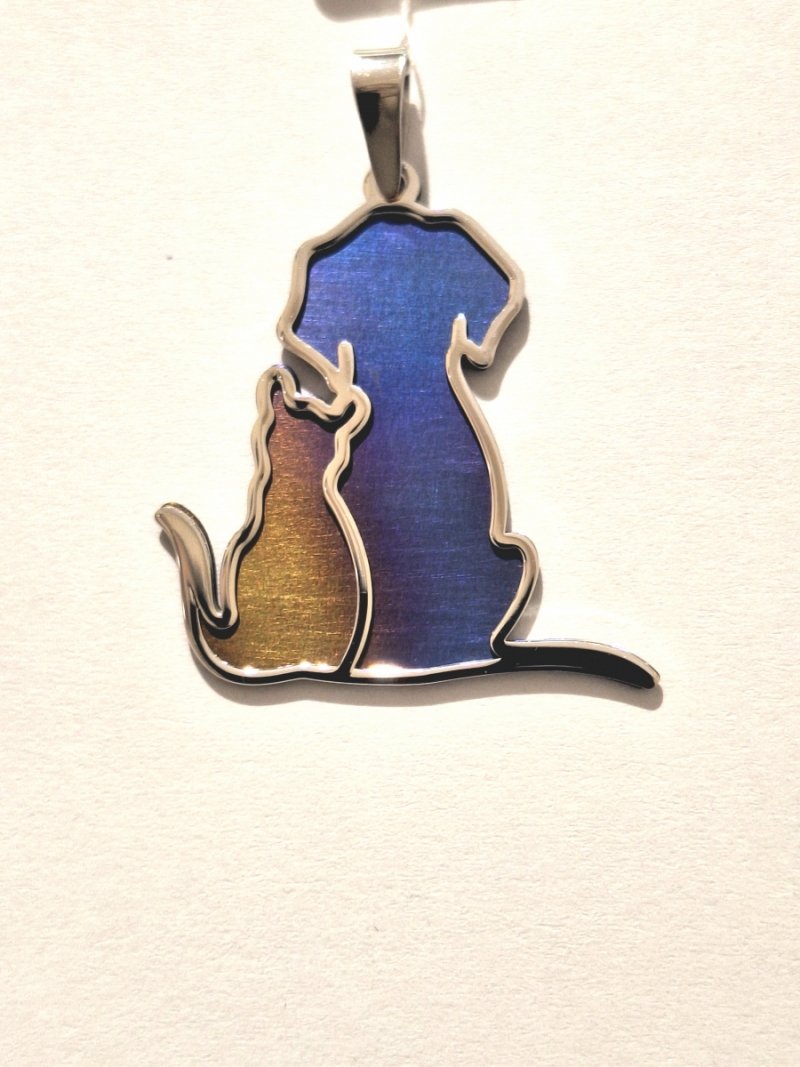 WISIOREK ZAWIESZKA Z TYTANU I SREBRA 925 KOT Z PSEM PIES