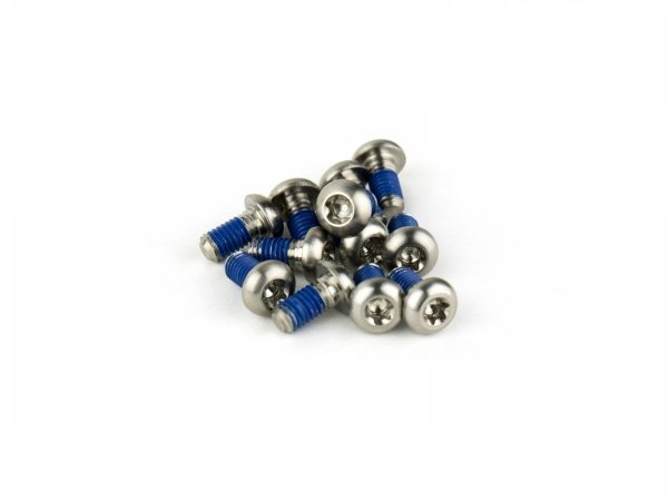 Śruby do tarcz hamulcowych SRAM Titanium T25 — srebrne, 12 szt.