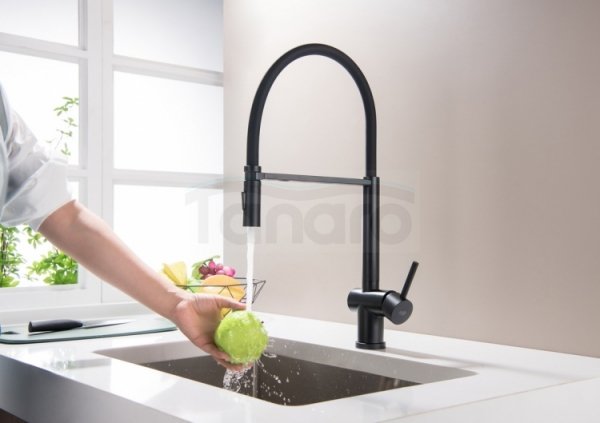 BLUE WATER Bateria kuchenna zlewozmywakowa z wyjmowaną wylewką CORI czarny mat 