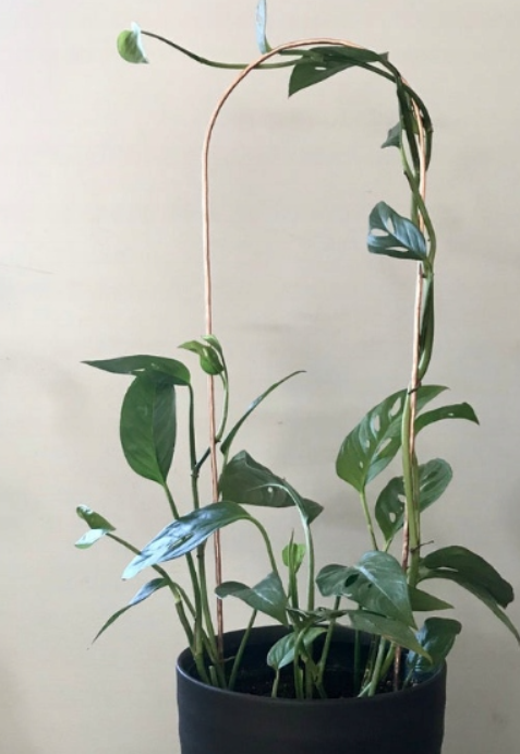 Podpórka podpora do roślin kwiatów metal 40 cm
