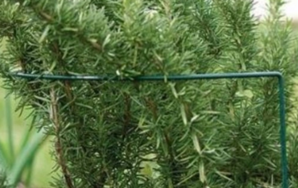 PODPORA podpórka DO ROŚLIN KWIATÓW półokrąg 45 cm fi 6mm