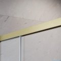 Radaway Idea 8 QL XL Kdj Brushed Gold kabina 120x80cm lewa szczotkowane złoto 10560617-99-01L/10570572-01-01/10580080-01-01R