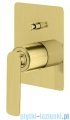 Kohlman Experience Brushed Gold zestaw prysznicowy z deszczownicą 30 cm złoto szczotkowane QW210EGDBR30