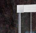 Ravak Matrix MSDPS kabina prysznicowa 110x80cm prawa aluminium transparent 0WPD4C00Z1