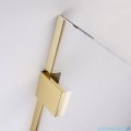 Radaway Essenza Pro Gold 125x200 kabina Walk-in złoty połysk/szkło przejrzyste 10103125-09-01