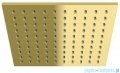 Kohlman Experience Gold zestaw prysznicowy z deszczownicą kwadratową 25x25 cm złoty połysk QW210EGDQ25