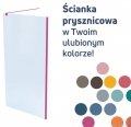 Massi Fix Gold 80x195 cm kabina Walk In przejrzyste MSKP-FA1021-80-G