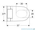 Geberit urządzenie WC z funkcją higieny intymnej AquaClean Tuma Comfort, wisząca miska WC biała/stal 146.292.FW.1