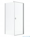 Radaway Nes Kdj I Brushed Nickel kabina 90x100cm prawa szczotkowany nikiel 10022090-91-01R/10039100-01-01