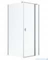 Radaway Nes Kdj II Brushed Nickel kabina 110x80cm prawa szczotkowany nikiel 10032110-91-01R/10039080-01-01