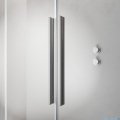 Radaway Furo Brushed Nickel DWJ drzwi prysznicowe 130cm lewe szczotkowany nikiel 10107672-91-01L/10110630-01-01
