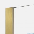 New Trendy Nesta Gold Brushed kabina Walk-In 120x200 cm złoto szczotkowane K-1743