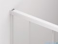 SanSwiss Cadura White Line drzwi przesuwne 160cm jednoskrzydłowe lewe z polem stałym profile biały mat CAS2G1600907