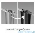 Radaway Furo SL Black KDD kabina 110x80cm czarny mat/szkło przejrzyste 10305110-54-01L/10305080-54-01R
