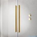 Radaway Furo Gold Walk-in kabina 110x200cm lewa szkło przejrzyste 10106588-09-01L/10110544-01-01