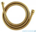 Omnires Contour system prysznicowy podtynkowy termostatyczny złoto szczotkowane SYSCT11GLB