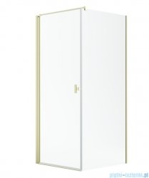 Radaway Nes 6 Kdj I Brushed Light Gold kabina 80x100cm lewa szczotkowane jasne złoto 10022080-98-01L/10039100-01-01