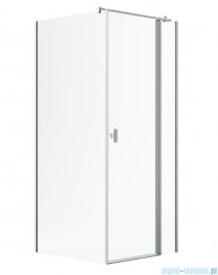 Radaway Nes Kdj II Brushed Nickel kabina 100x75cm prawa szczotkowany nikiel 10032100-91-01R/10039075-01-01