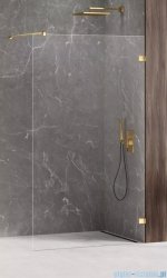 New Trendy Avexa Gold Shine kabina Walk-In 130x200 cm przejrzyste EXK-2166