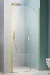 Radaway Nes Brushed Light Gold Dws Drzwi wnękowe 120cm lewe szczotkowane jasne złoto szkło przejrzyste 10028120-98-01L