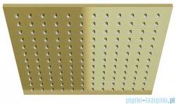 Kohlman Experience Brushed Gold deszczownica kwadratowa 30x30 cm złoto szczotkowane Q30EGDB