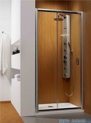 Radaway Premium Plus DWJ Drzwi wnękowe 100 szkło przejrzyste 33303-01-01N