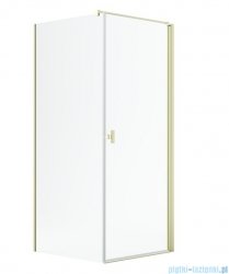 Radaway Nes 6 Kdj I Brushed Light Gold kabina 100x80cm prawa szczotkowane jasne złoto 10022100-98-01R/10039080-01-01