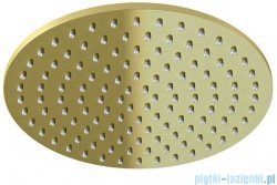 Kohlman Experience Brushed Gold deszczownica okrągła 25 cm złoto szczotkowane R25EGDB