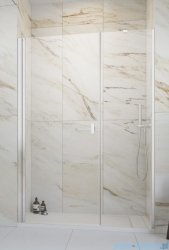 Radaway Nes 8 Dws I drzwi wnękowe 120cm W3 lewe chrom połysk szkło przejrzyste 10078100-01-01L/10078113-01-01