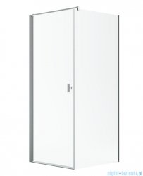 Radaway Nes Kdj I Brushed Nickel kabina 100x70cm lewa szczotkowany nikiel 10022100-91-01L/10039070-01-01