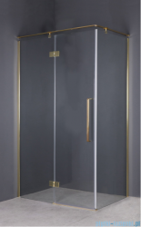 Sea Horse Fresh Line Gold kabina prostokątna lewa 90x120x195 cm przejrzyste BK248T09/12ZL