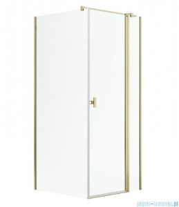 Radaway Nes Kdj II Gold kabina 80x80cm prawa złoty połysk 10032080-09-01R/10039080-01-01