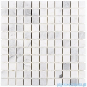 Dunin Black & White mozaika kamienna 30x30 Eastern White 25