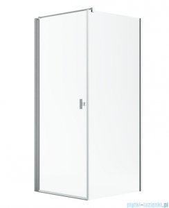 Radaway Nes Kdj I Brushed Nickel kabina 100x70cm lewa szczotkowany nikiel 10022100-91-01L/10039070-01-01