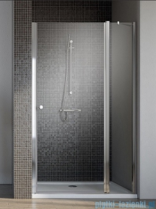 Radaway Eos II DWJ Drzwi prysznicowe 100x195 prawe szkło przejrzyste 3799442-01R
