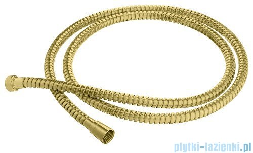 Kohlman Experience Brushed Gold zestaw prysznicowy z deszczownicą kwadratową 25x25 cm złoto szczotkowane QW210EGDBQ25