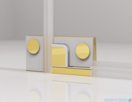 SanSwiss Cadura Gold Line drzwi wahadłowe 120cm jednoczęściowe lewe z polem stałym CA31CG1201207