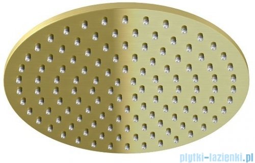 Kohlman Experience Brushed Gold zestaw prysznicowy z deszczownicą 25 cm złoto szczotkowane QW210EGDBR25
