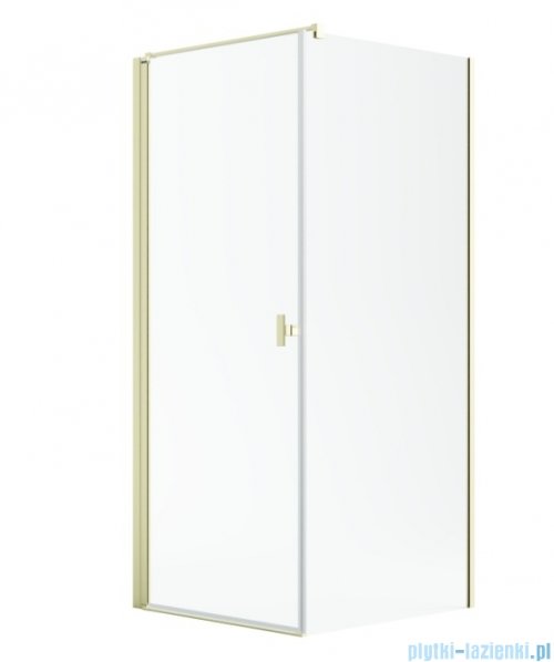 Radaway Nes 6 Kdj I Brushed Light Gold kabina 80x100cm lewa szczotkowane jasne złoto 10022080-98-01L/10039100-01-01