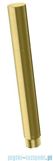 Kohlman Experience Brushed Gold zestaw prysznicowy z deszczownicą 25 cm złoto szczotkowane QW210EGDBR25