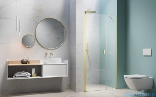 Radaway Nes Brushed Light Gold Dws Drzwi wnękowe 130cm lewe szczotkowane jasne złoto szkło przejrzyste 10028130-98-01L
