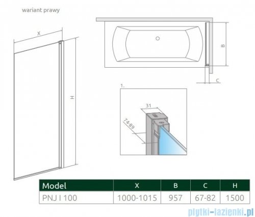 Radaway Nes Pnj Brushed Gold parawan nawannowy 100cm prawy szczotkowane złoto 10011100-99-01R