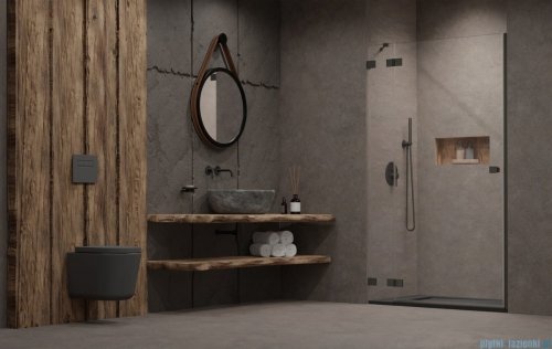 Radaway Essenza Pro Brushed GunMetal Dwj drzwi wnękowe 110cm lewe  szczotkowany grafit 10099110-92-01L