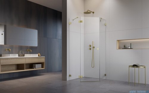 Radaway Essenza Pro Brushed Gold Ptj kabina pięciokątna 100x80 lewa szczotkowane złoto 10100000-99-01L/10100800-01-01