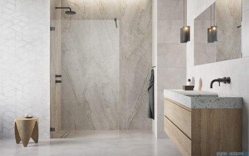 Radaway Essenza Pro Brushed GunMetal 110x200 kabina Walk-in szczotkowany grafit  10103110-92-01 