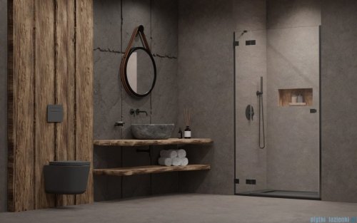 Radaway Essenza Pro Brushed GunMetal Dwj drzwi wnękowe 120cm lewe szczotkowany grafit 10099120-92-01L