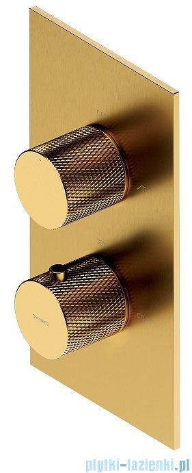 Omnires Contour system prysznicowy podtynkowy termostatyczny złoto szczotkowane SYSCT11GLB